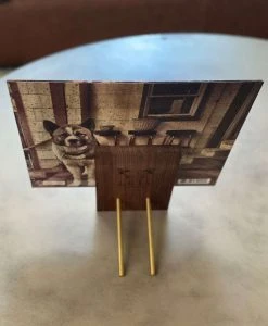 Double Helix Records Cool As Sh%t LP Display Stand New Merch 36 Double Helix Records Cool As Sh%t LP Display Stand New Merch