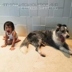 And So I Watch You From Afar (SH) The Endless Shimmering CD