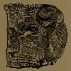 Boris New Merch Dear CD