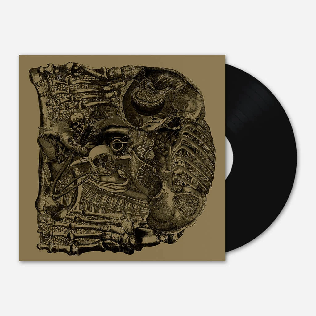 Boris Dear 12" Vinyl New Merch 1 Boris Dear 12" Vinyl New Merch