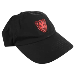 Black Pumas New Merch Monoline Dad Hat