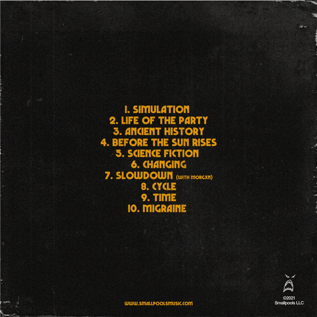 Smallpools Life In A Simulation 12" Vinyl 3 Smallpools Life In A Simulation 12" Vinyl