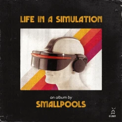 Smallpools Life In A Simulation 12" Vinyl
