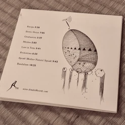 Billy Martin MESHES CD New Merch 13 Billy Martin MESHES CD New Merch