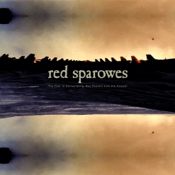 Red Sparowes The Fear Is Excruciating, But Therein Lies The Answer 12" Vinyl