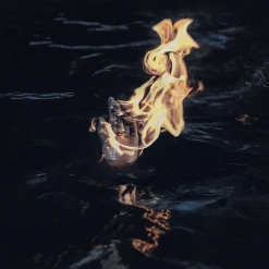 Weyrd Son Records SURE - 20 YEARS 12" Vinyl