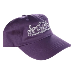 New Merch SPELLLING Logo Dad Hat 21 New Merch SPELLLING Logo Dad Hat