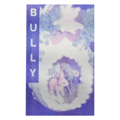 Bully New Merch Sugaregg Risograph Limited Edition Zine