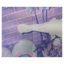 Bully New Merch Sugaregg Risograph Limited Edition Zine