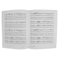 TTNG New Merch Disappointment Island Tablature Book Hard Copy 5 TTNG New Merch Disappointment Island Tablature Book Hard Copy