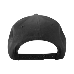 The Wood Brothers Spotlight Black Hat New Merch