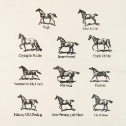 Madi Diaz History Of A Feeling Tote New Merch