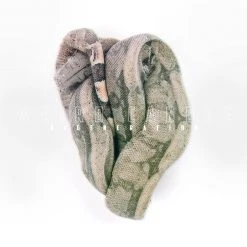 Weyrd Son Records New Merch Weird Candle - Regeneration 12" Black Vinyl