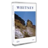 Whitney Candid Cassette Tape