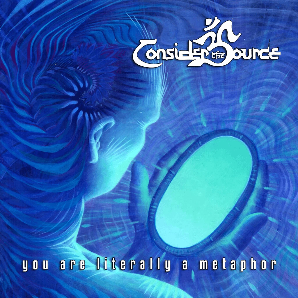 Consider The Source You Are Literally A Metaphor 12" Vinyl New Merch 2 Consider The Source You Are Literally A Metaphor 12" Vinyl New Merch