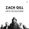 Zach Gill Life In The Multiverse 12" Vinyl New Merch