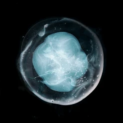 A Winged Victory For The Sullen The Undivided Five New Merch