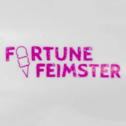 Fortune Feimster Ice Cream Scoop New Merch