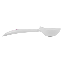 Fortune Feimster Ice Cream Scoop New Merch